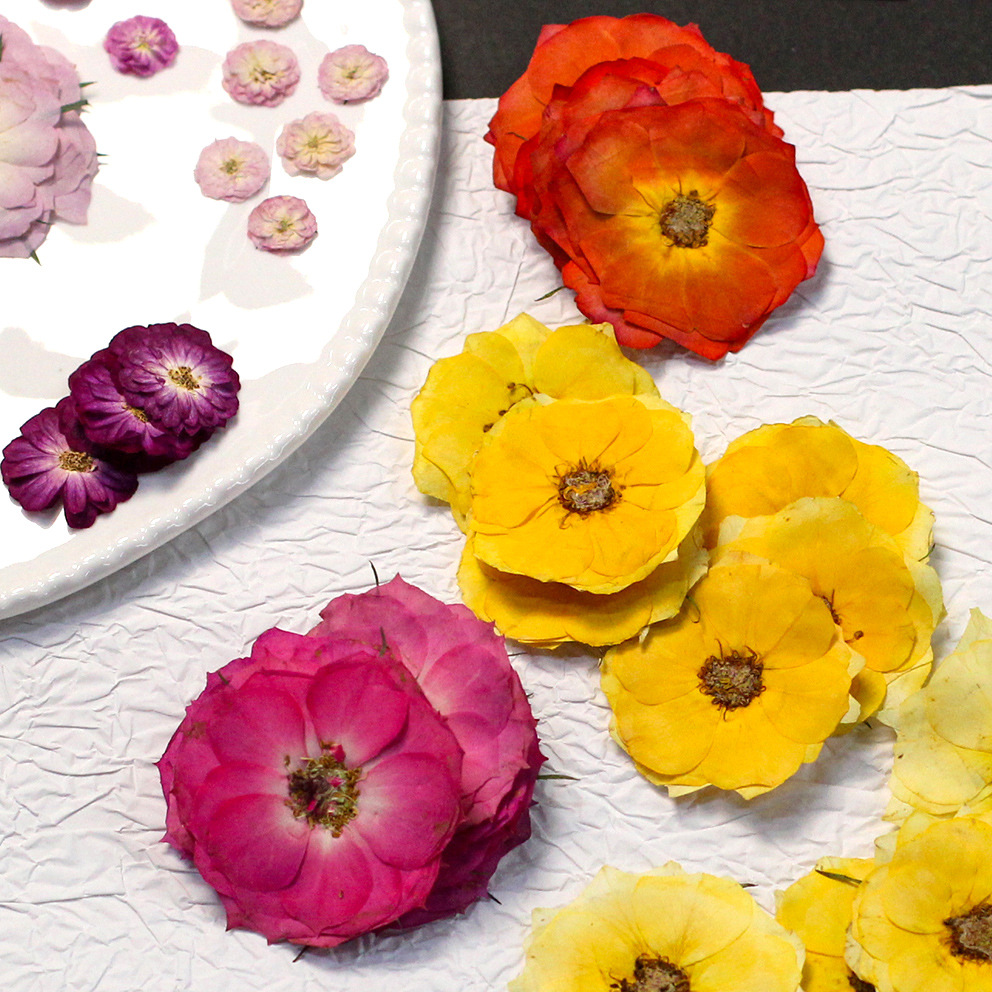 60 adet, farklı boyutlarda, sa - Resin Craft Ideas incelemesi ve fiyatı