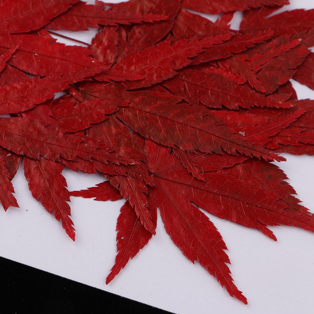 Kurutulmuş Doğal Çiçekler, Tak - Resin Craft Ideas incelemesi ve fiyatı